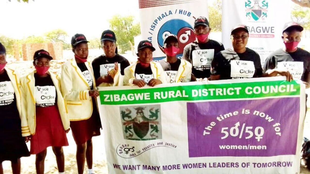 Zimbabwe's Centres of Excellence