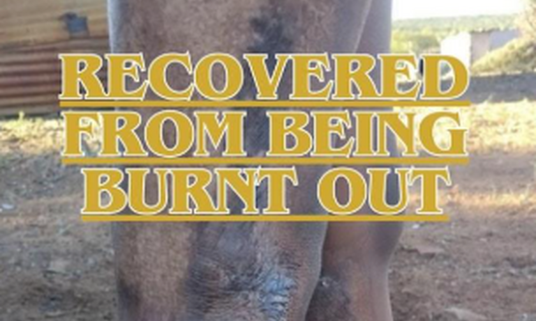 South Africa: Burnt but Not Broken