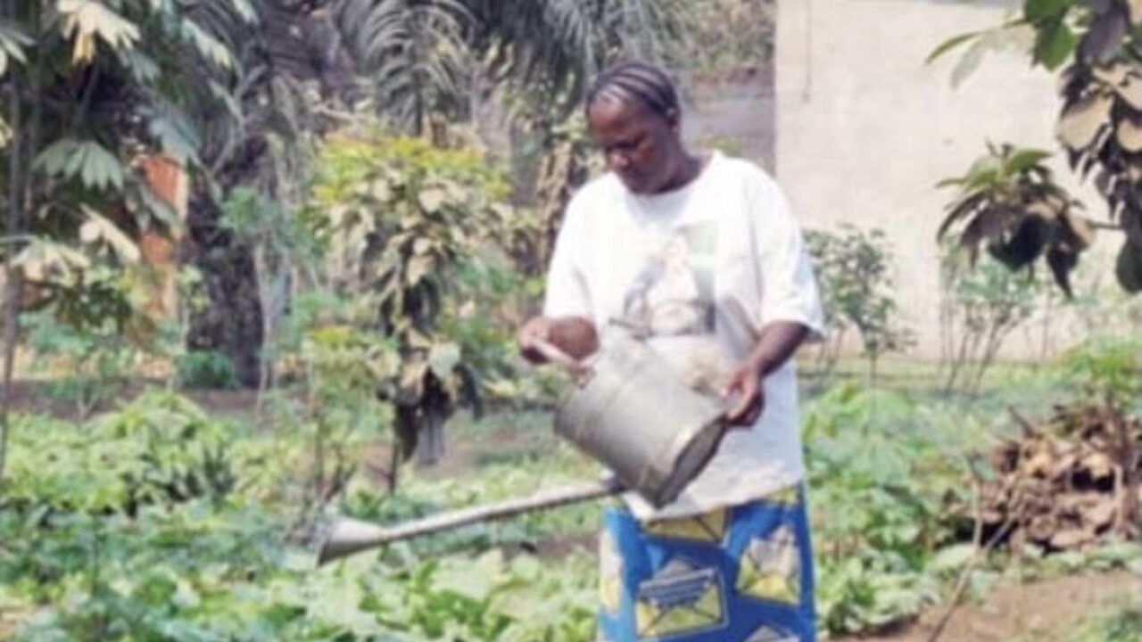 Democratic Republic of Congo: economic and climate justice