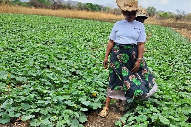 Zimbabwe: Grassroots leadership at its best: councillor Mashapure’s Model of community development