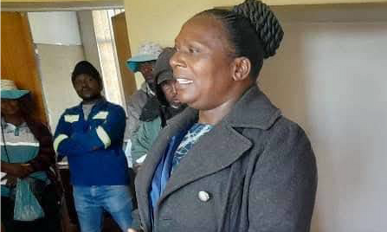 Zimbabwe: Small Contributions, Big Transformations: The Story of Gweru’s Women’s Credit Club