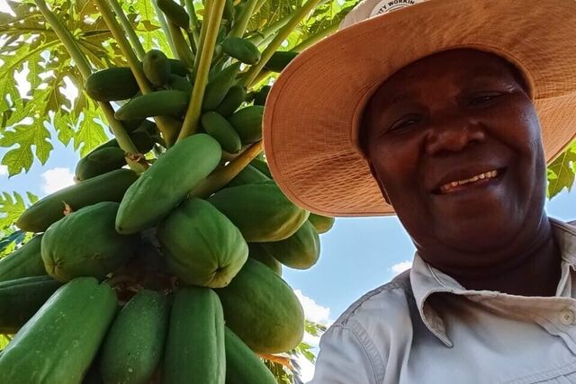 Zimbabwe: Driving climate justice through horticulture and fruit farming at local level in Ward 14, Bubi District "