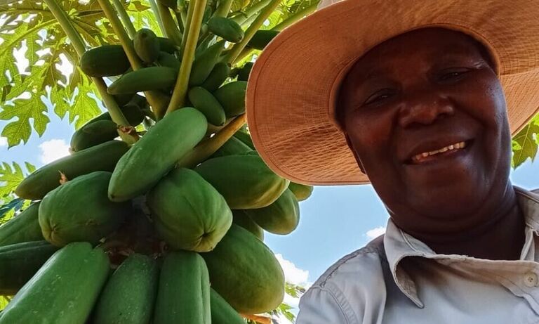 Zimbabwe: Driving climate justice through horticulture and fruit farming at local level in Ward 14, Bubi District "
