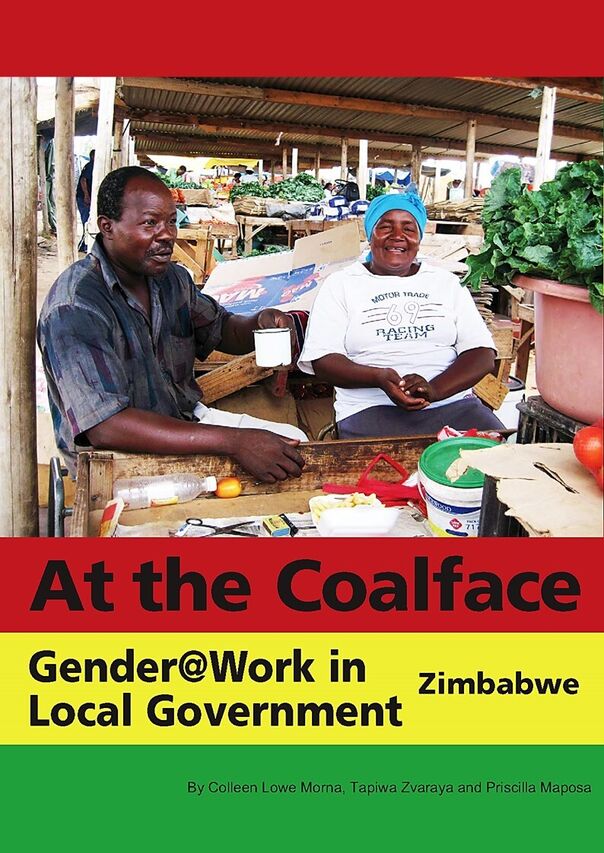 At the Coalface Zimbabwe Conclusion and next steps