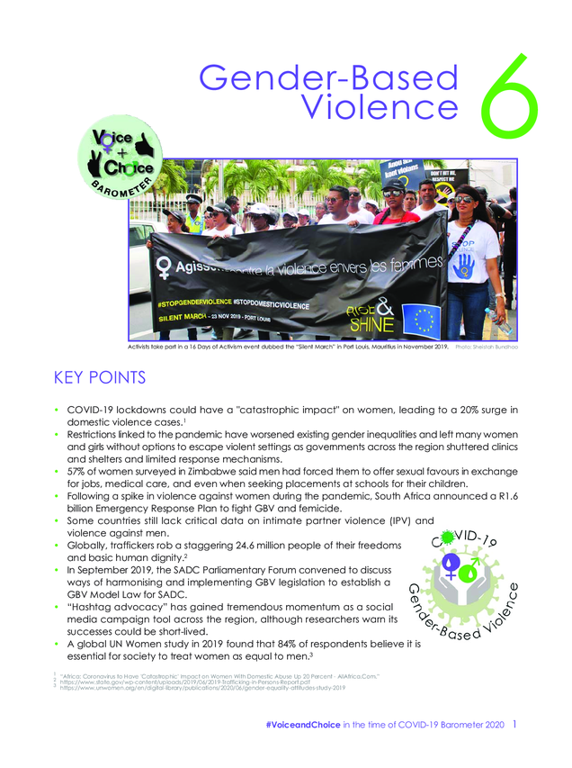 2020 Barometer Chapter 6 Gender Based Violence