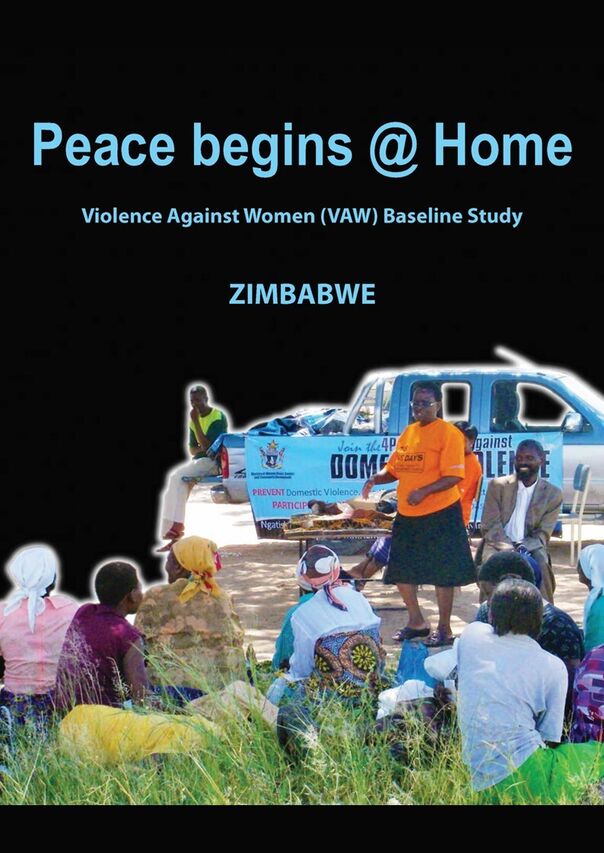 2013 Gender-Based Violence Indicators Study - Zimbabwe