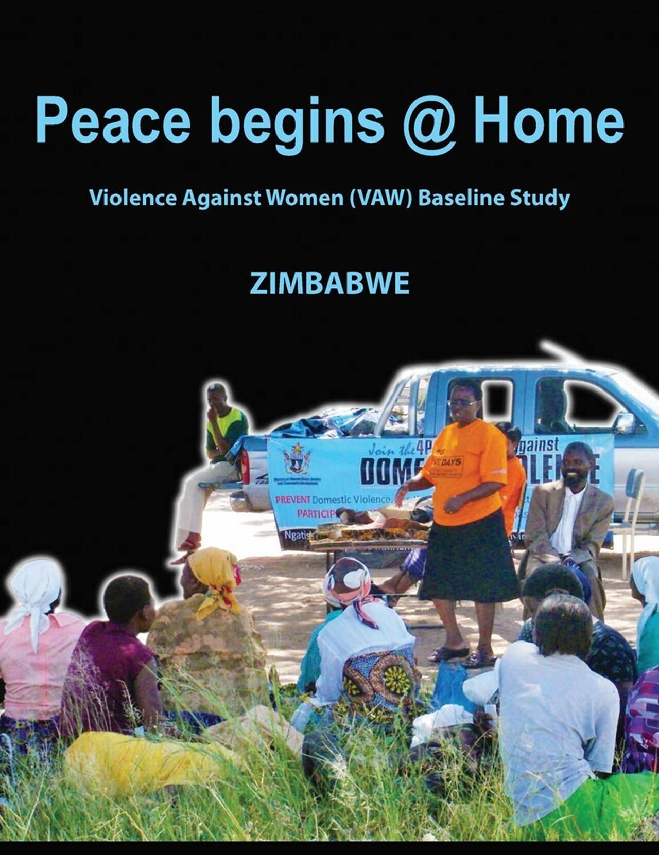 1 2013 GBV Ind Zim cover
