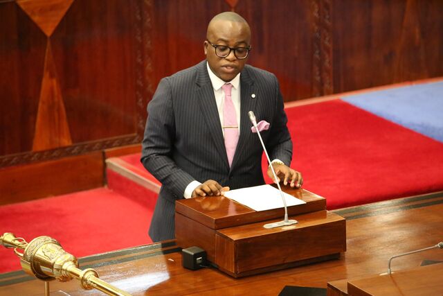 Tanzania: Advocacy for Extended Maternity Leave - A Partnership for Maternal and Child Health in Tanzania