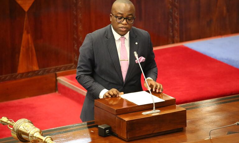 Tanzania: Advocacy for Extended Maternity Leave - A Partnership for Maternal and Child Health in Tanzania