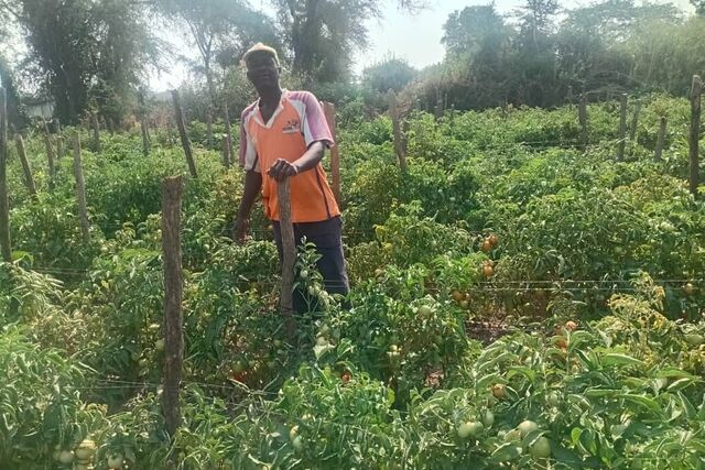 Zimbabwe: Promoting inclusive gender economic empowerment, leaving no one behind