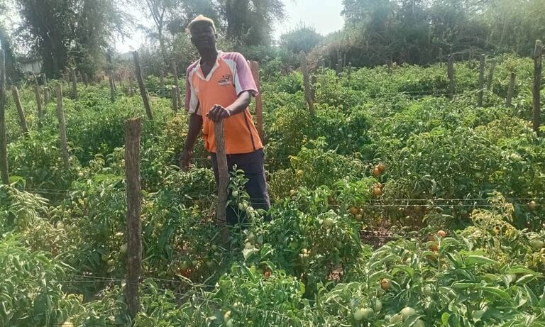 Zimbabwe: Promoting inclusive gender economic empowerment, leaving no one behind