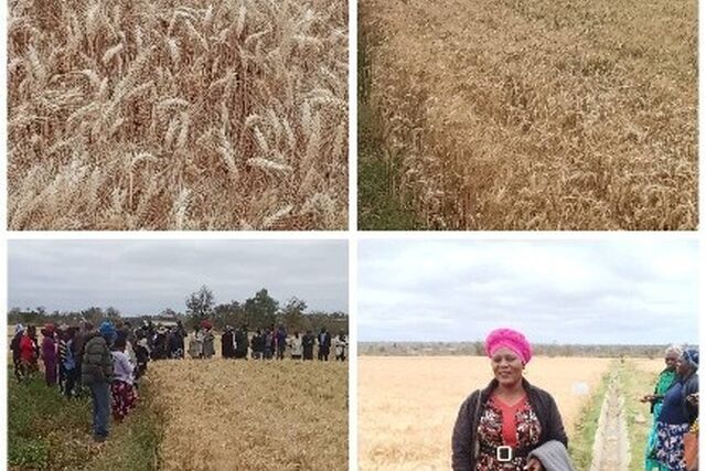 Zimbabwe: Attaining vision 2030 through women and youth empowerment