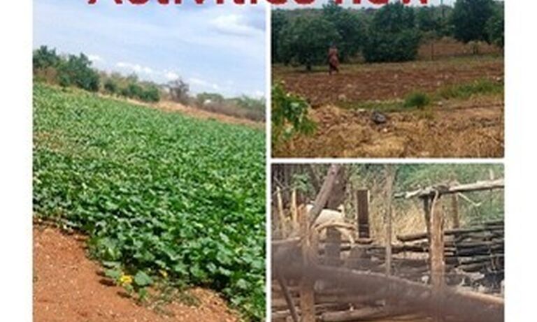 Zimbabwe: From Scars to Stars — The Journey of Women at Botha Farm