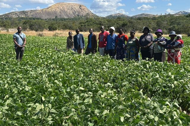 Zimbabwe: A new dawn of transformation