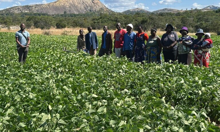 Zimbabwe: A new dawn of transformation