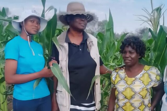 Zimbabwe: Sihamba labahambayo: “Forward Ever” horticulture project leaving no one behind