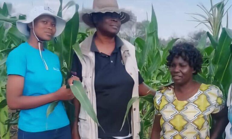 Zimbabwe: Sihamba labahambayo: “Forward Ever” horticulture project leaving no one behind