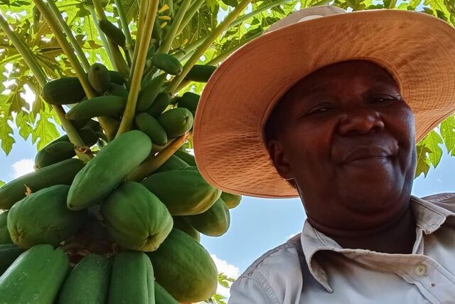 Zimbabwe: Driving climate justice through horticulture in ward 14, Bubi district