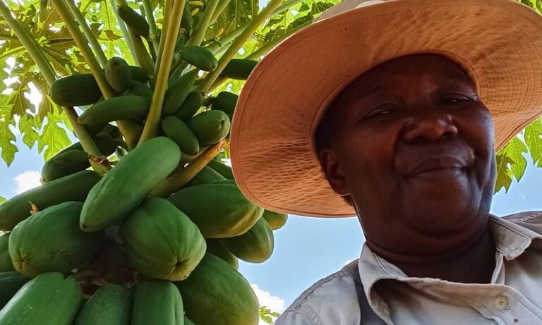 Zimbabwe: Driving climate justice through horticulture in ward 14, Bubi district