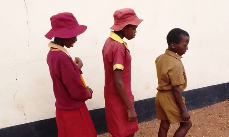 Zimbabwe: A game changer for the voiceless empowering people with disabilities