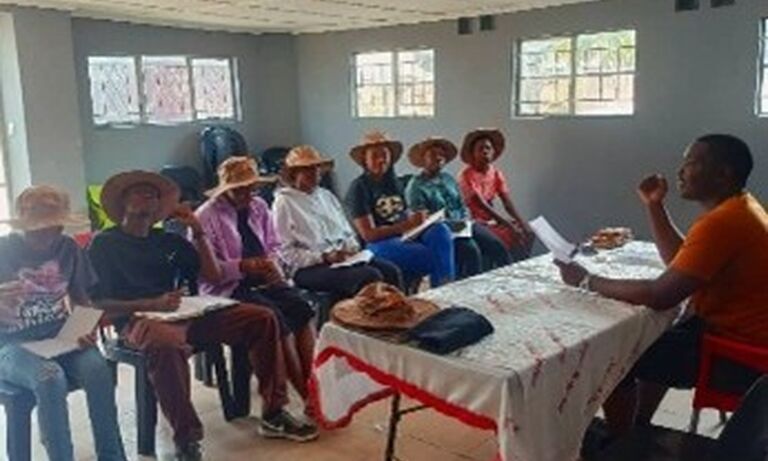 Zimbabwe: Youth at the heart of change