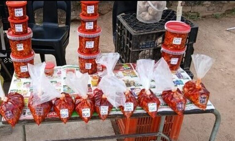 South Africa: Salmina Gahadza