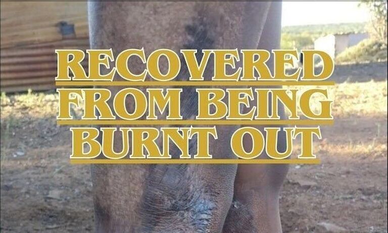 South Africa: Victim to Survivor; Thato’s Journey of Healing and Empowerment