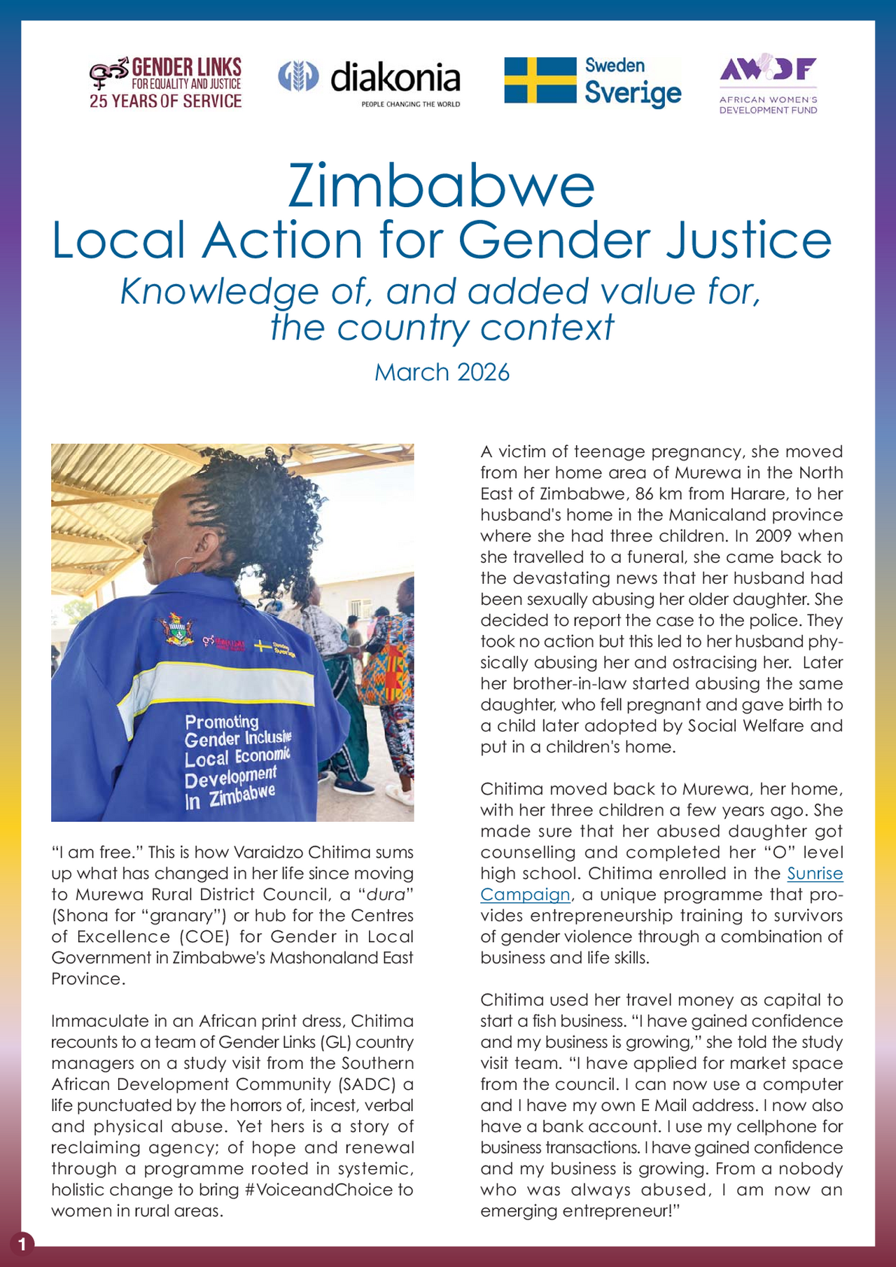 Zimbabwe Local Action Case Study 2026