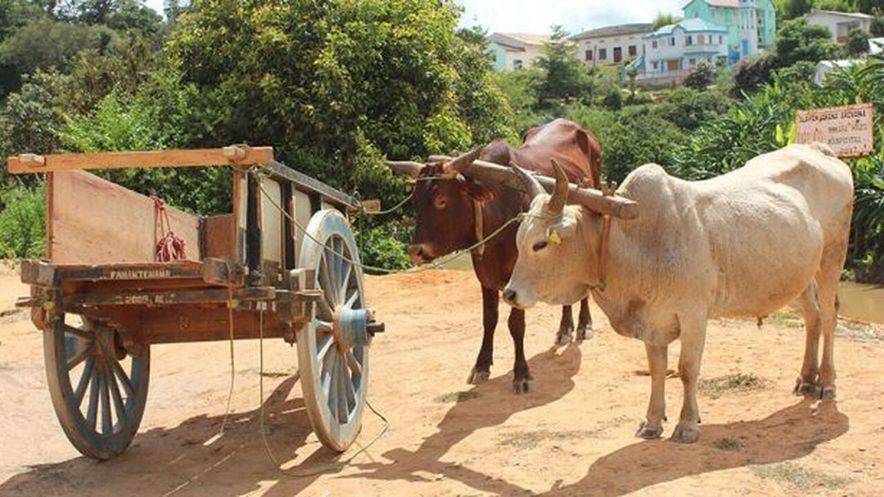 Rural municipality of Andramasina