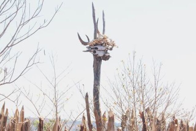 Urban municipality of Ampanihy Ouest