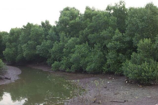 Rural municipality of Mafaijijo