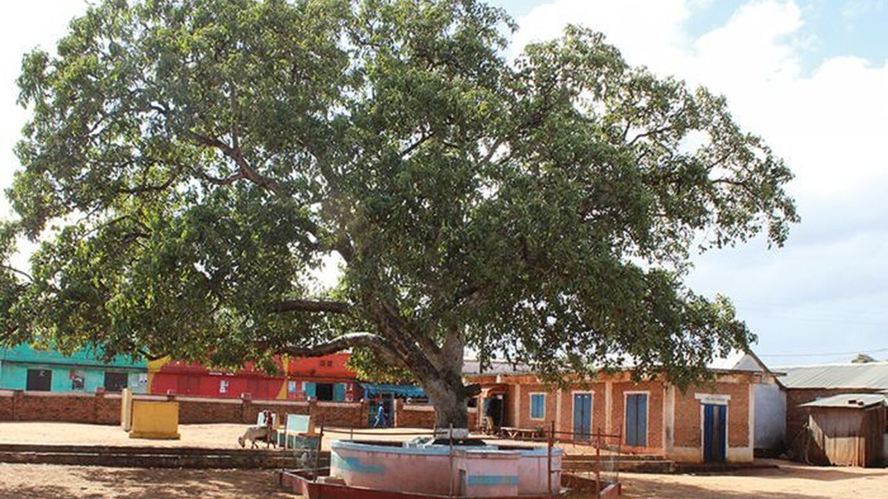 Urban municipality of Ambovombe