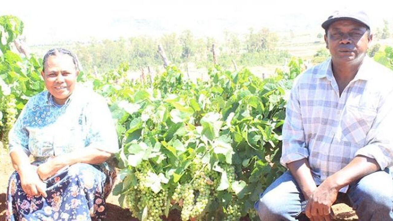 Andoharanomaitso Rural Municipality