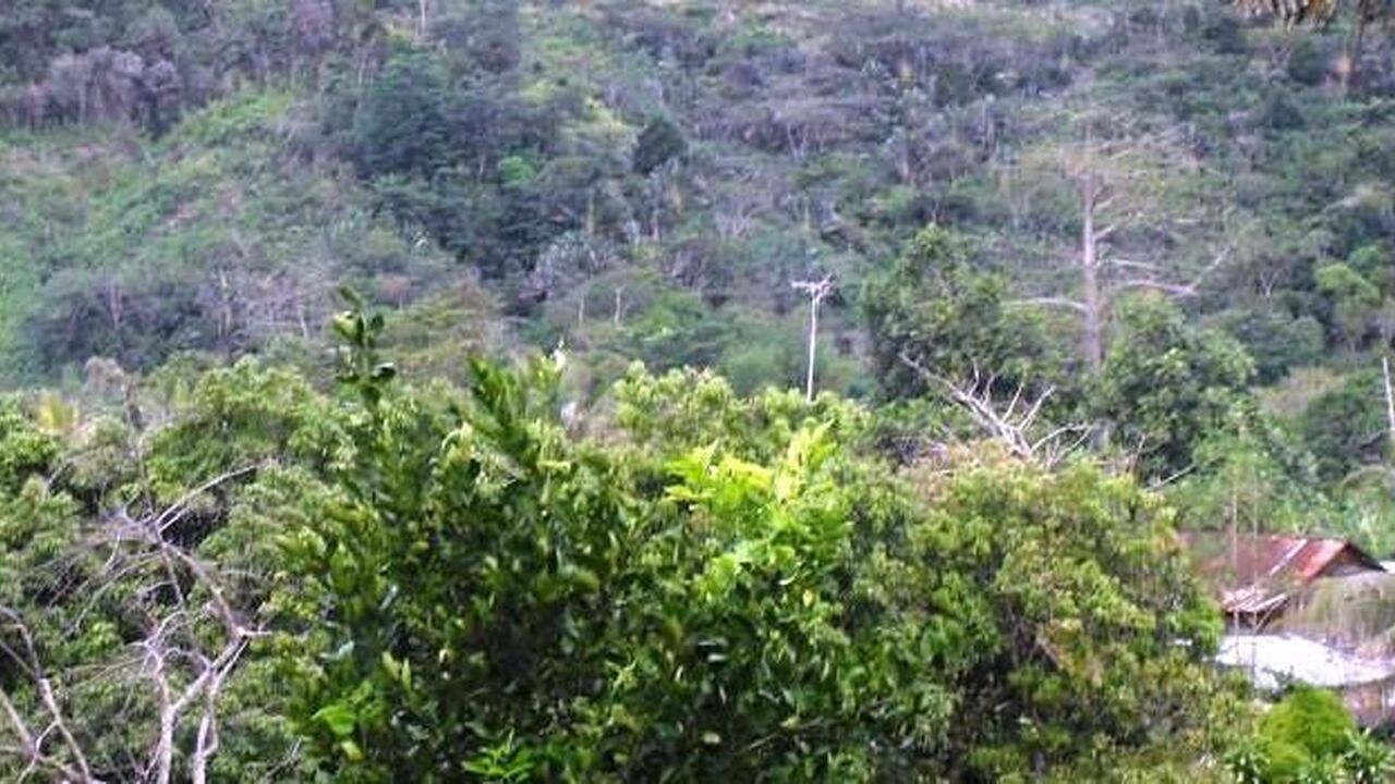 Anjinjaomby Rural Municipality