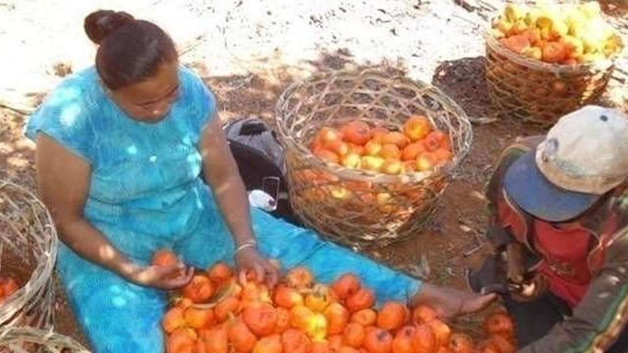 Anjoman'Akona Rural Municipality