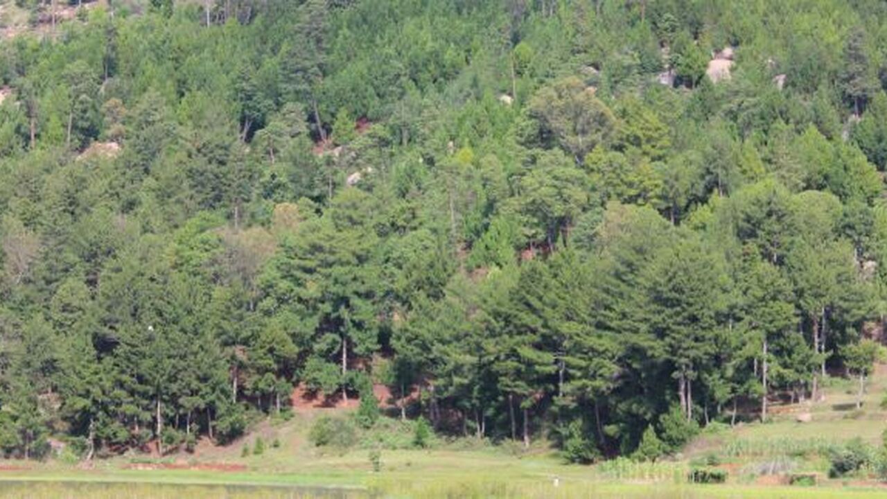 Andriambilany Rural Municipality