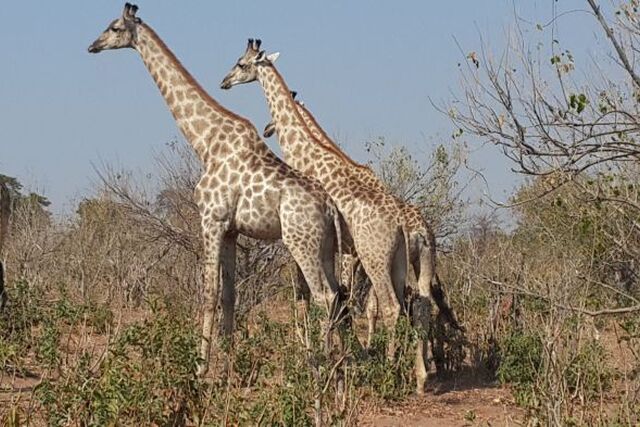 Boteti Sub District Municipality