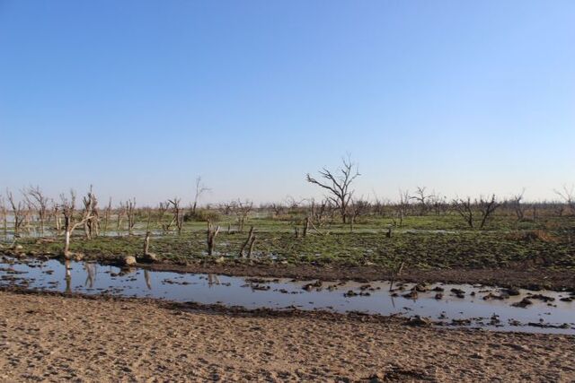 Okavango Sub District Council