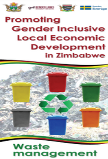 Beitbridge waste management