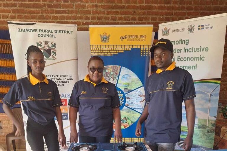 Zibagwe Rural District Council LED