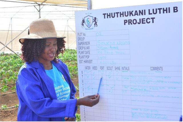 Zimbabwe: Khayelihle's journey to empower local farmers