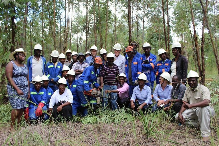 Makoni Rural District Council LED