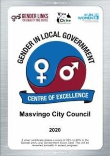 Masving City Council Silver 2020