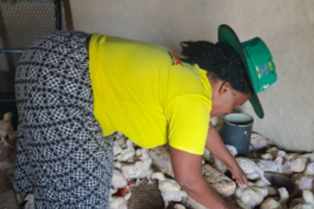 Zimbabwe: Empowering women at local level to live better lives