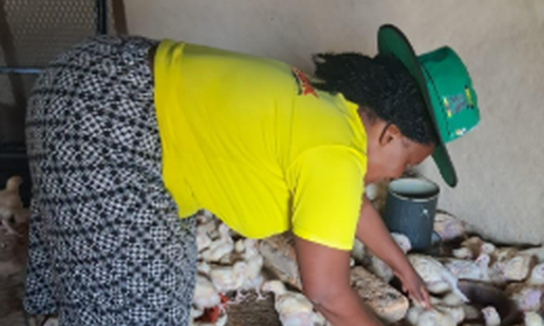 Zimbabwe: Empowering women at local level to live better lives