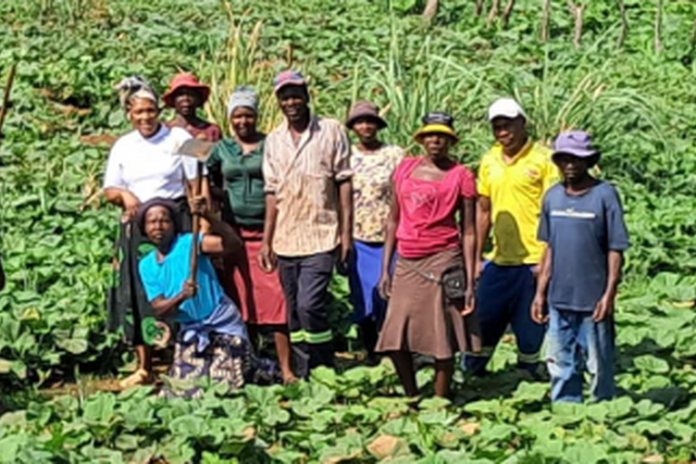 Zimbabwe: Women empowerment