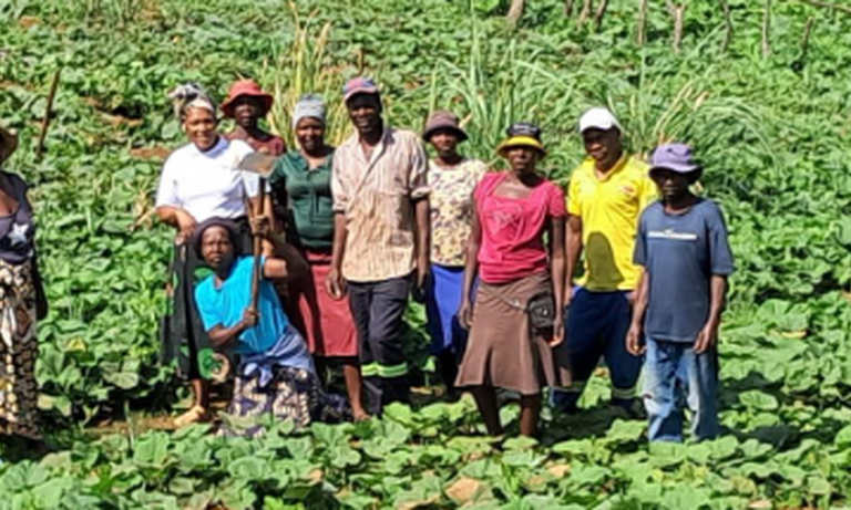 Zimbabwe: Women empowerment