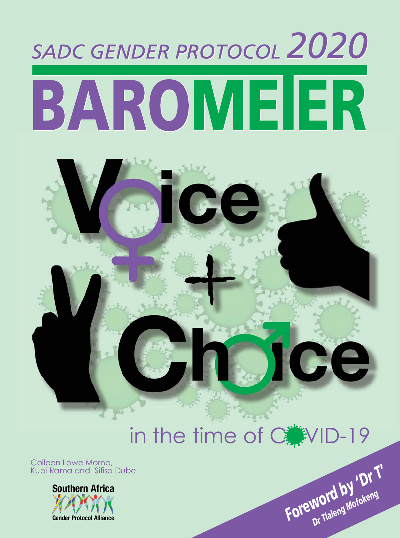 SADC Gender Protocol Barometer 2020