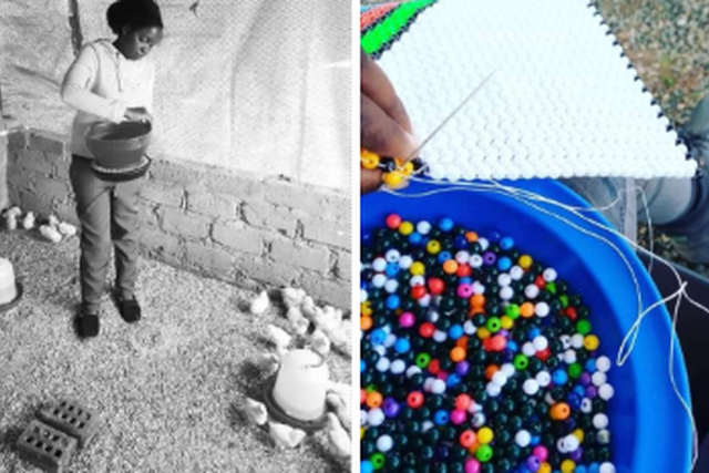 South Africa: Beads and Chicken: From Survival to Thriving Business