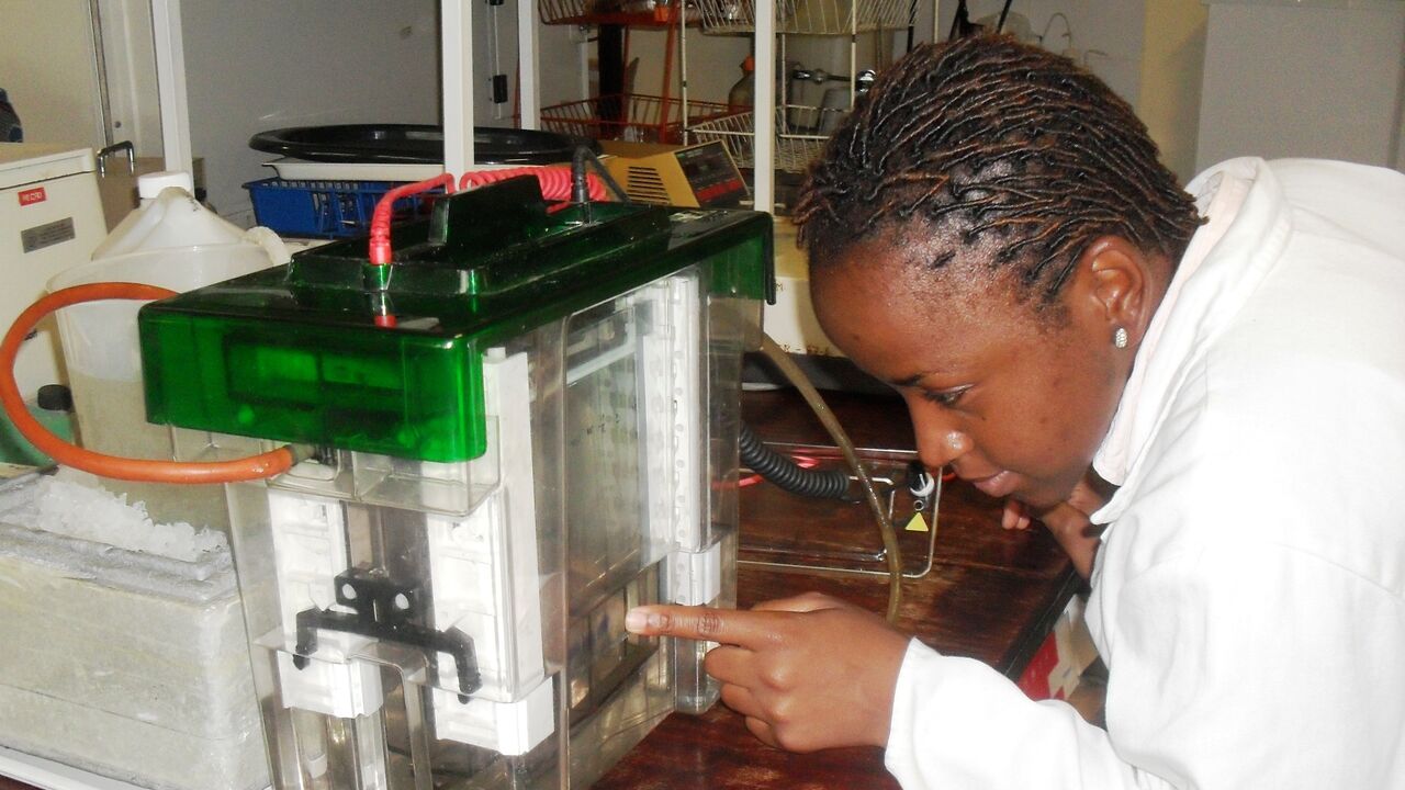 Zimbabwe: gender and climate justice